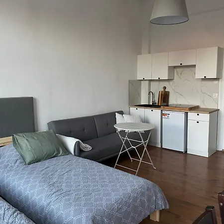 アパート Kamienica Spokojne Centrum Szczecina シュチェチン